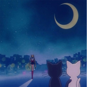 复古伦理经典XXXX
